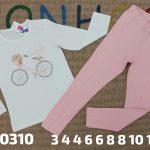 Conjunto bicicleta